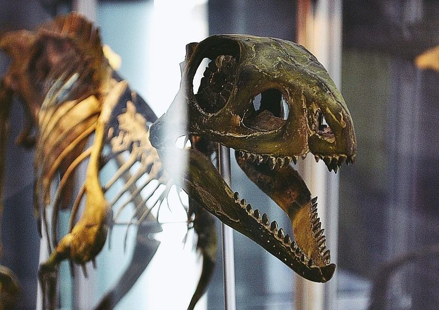 dinosaur-5218264_1280-e1759656208403