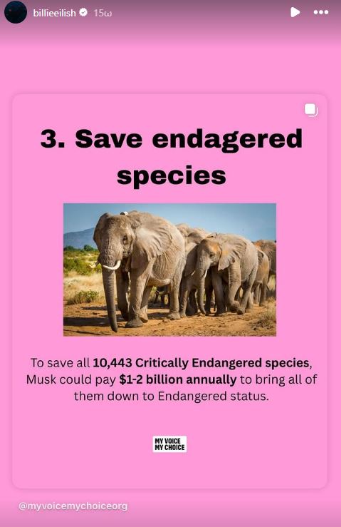 Μπίλι Άιλις: Δριμεία κριτική στον Έλον Μασκ – «Αξιολύπητος και δειλός»