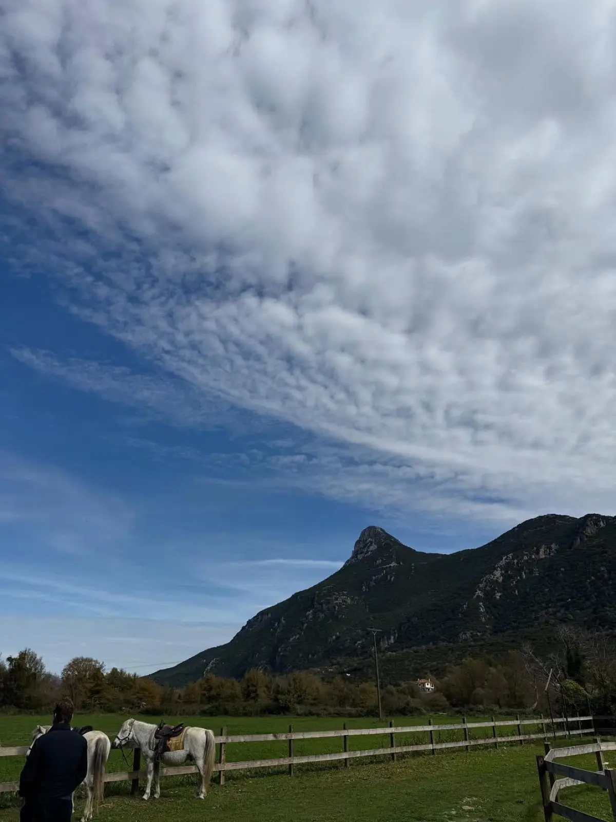 Η Ελένη Μενεγάκη στο Instagram