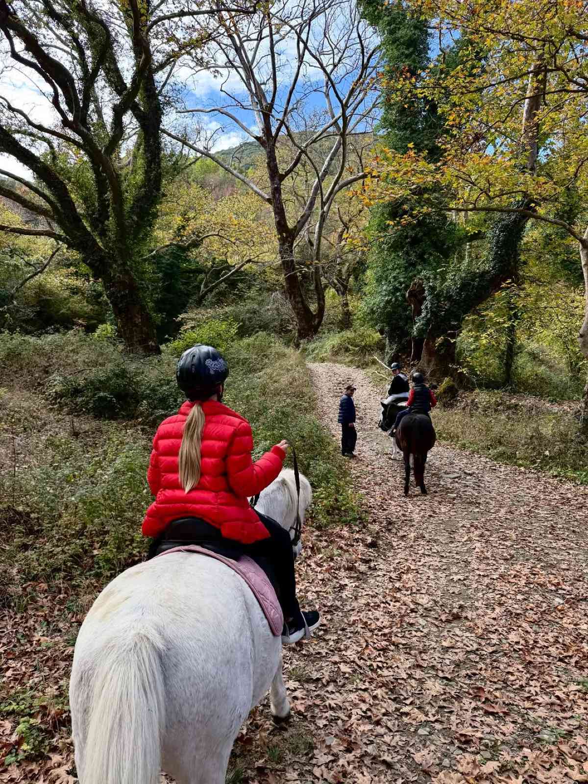 Η Ελένη Μενεγάκη στο Instagram