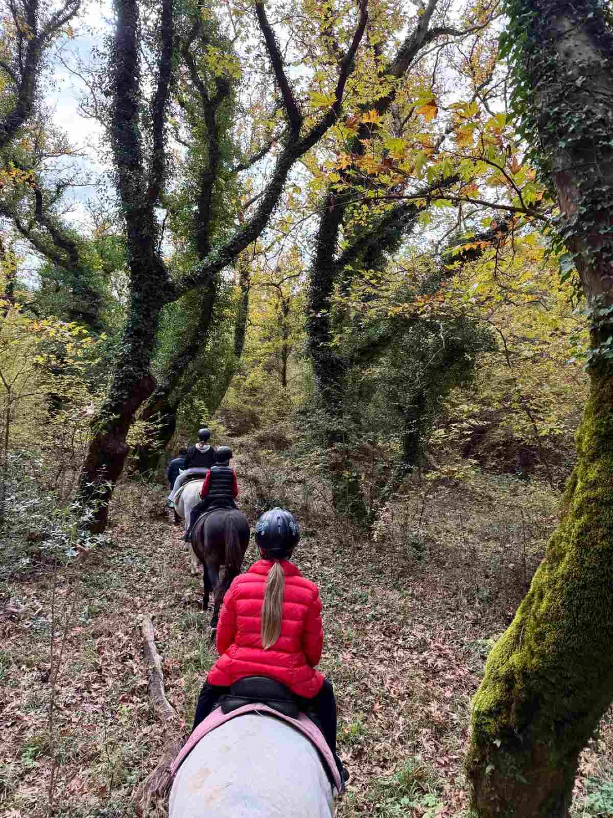 Η Ελένη Μενεγάκη στο Instagram