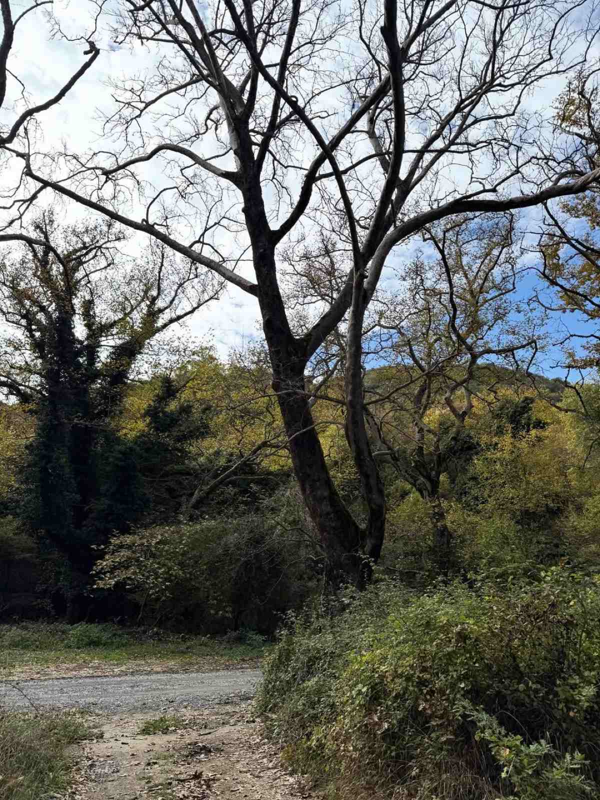 Η Ελένη Μενεγάκη στο Instagram