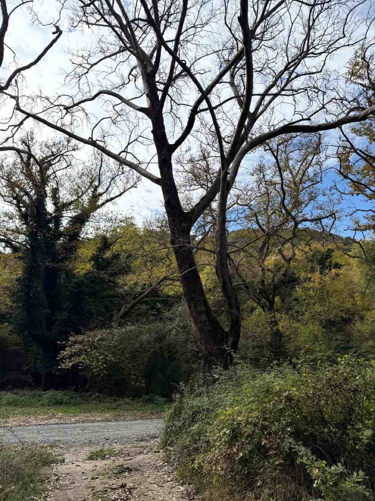 Η Ελένη Μενεγάκη στο Instagram