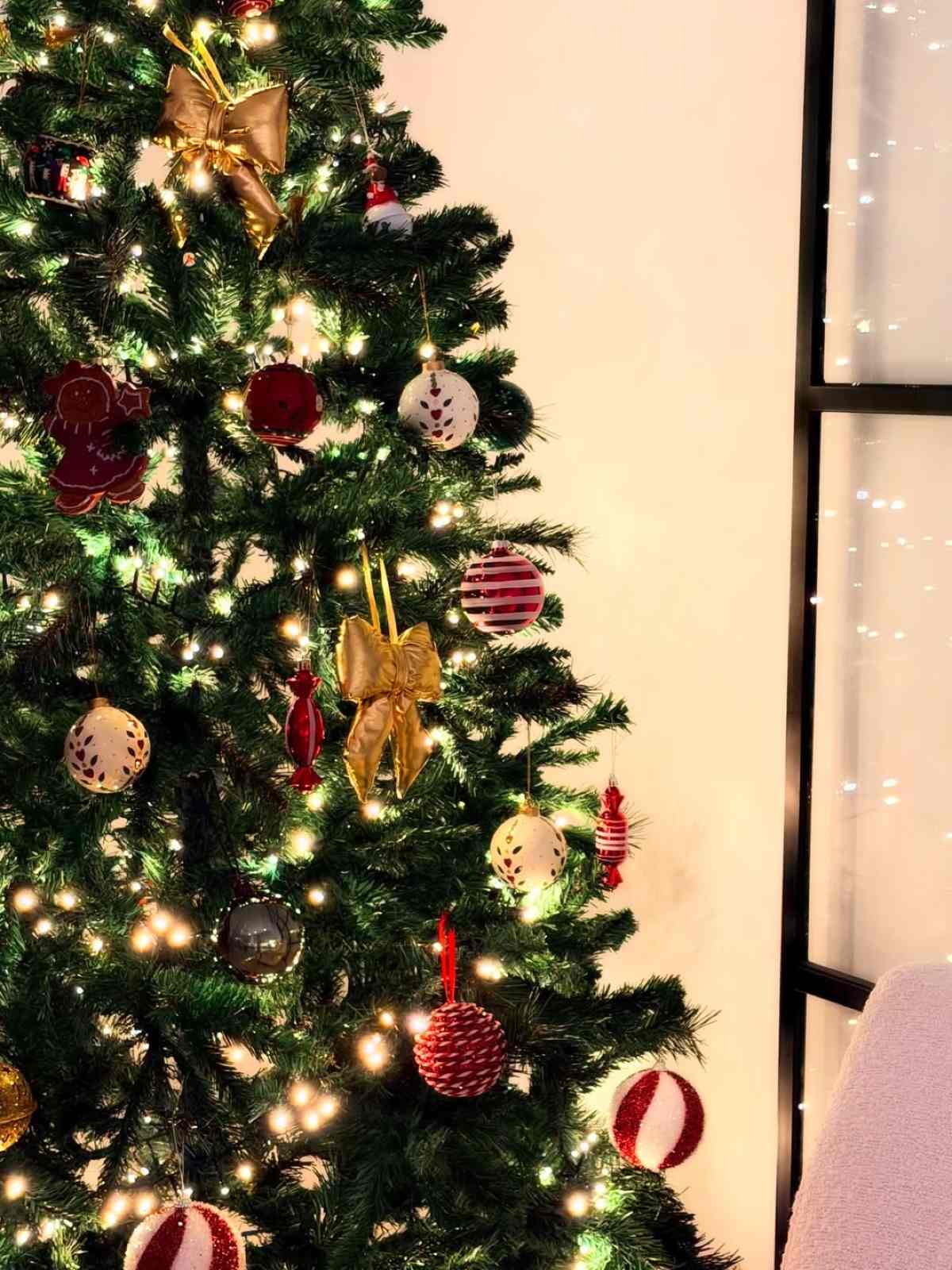 Ελένη Βουλγαράκη: Ρομαντικές στιγμές με τον Φώτη Ιωαννίδη στη Λισαβόνα (Εικόνες) 10 Η Ελένη Βουλγαράκη και ο Φώτης Ιωαννίδης στη Λισαβόνα