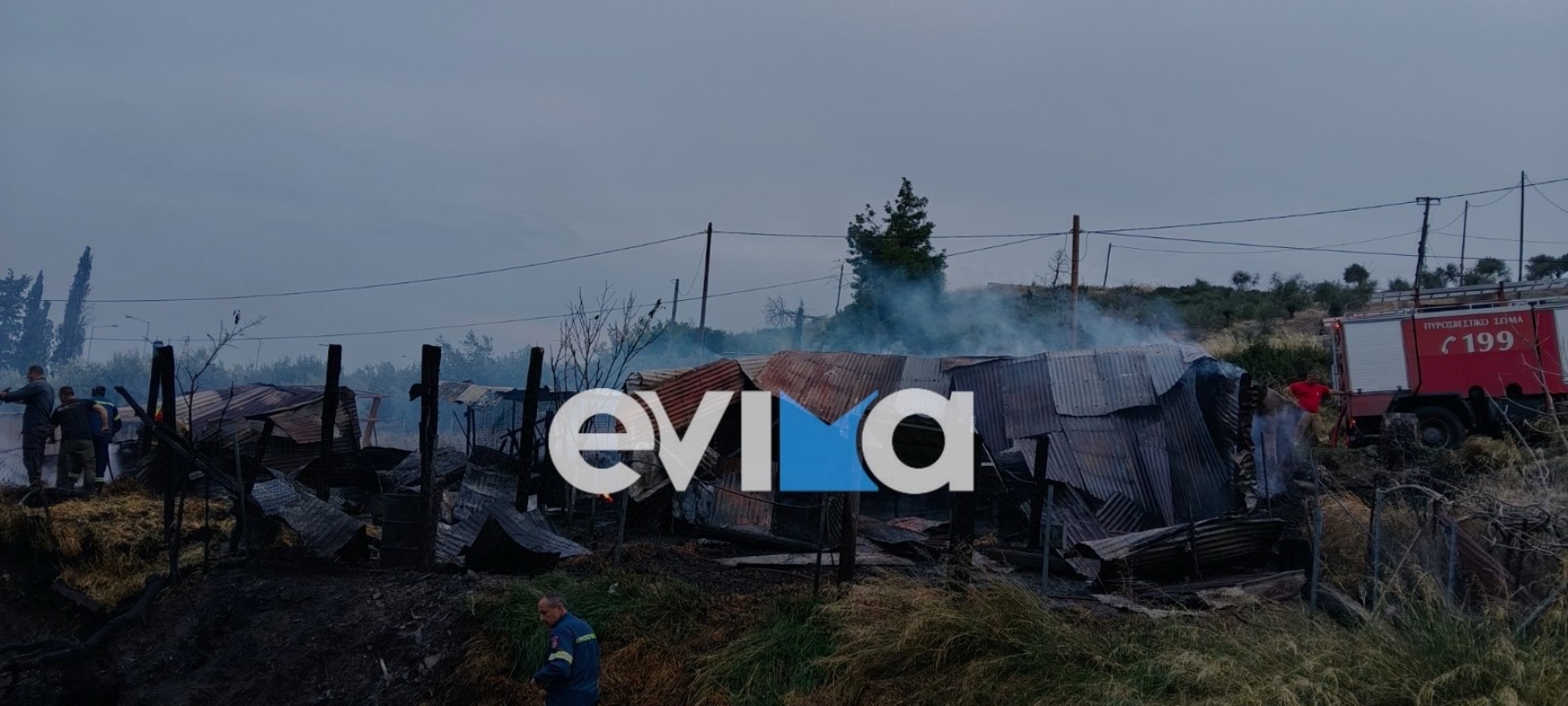 Πυρκαγιά στη Λίμνη Εύβοιας: Ολοκληρωτική καταστροφή μαντριού και απώλεια προβάτων 4 Φωτιά σε μαντρί