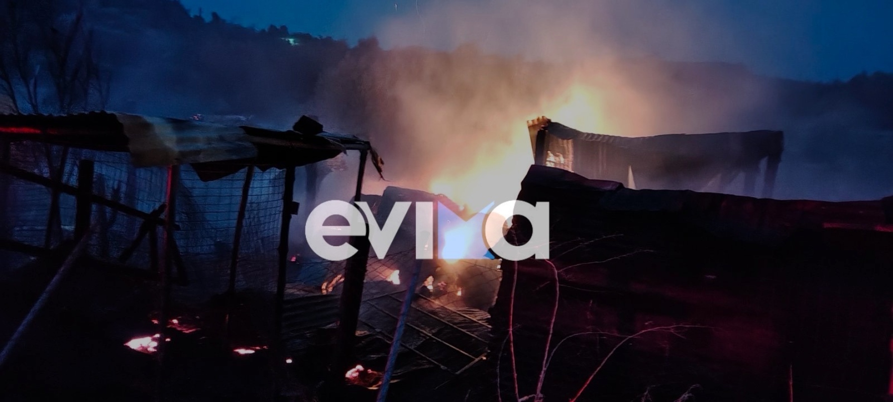 Πυρκαγιά στη Λίμνη Εύβοιας: Ολοκληρωτική καταστροφή μαντριού και απώλεια προβάτων 3 Φωτιά σε μαντρί