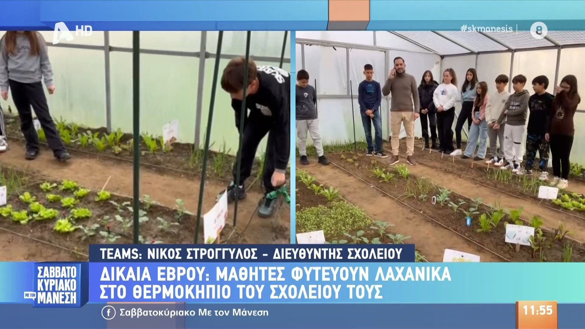 Έβρος: Μαθητές φυτεύουν λαχανικά στο θερμοκήπειο του σχολείου τους