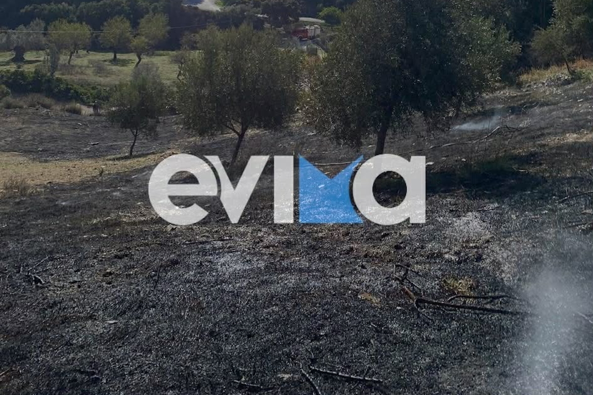 Δραματικό περιστατικό στην Εύβοια: Άντρας βρέθηκε νεκρός σε φλεγόμενο χωράφι – «Προσπαθούσε να κάψει κλαδιά»