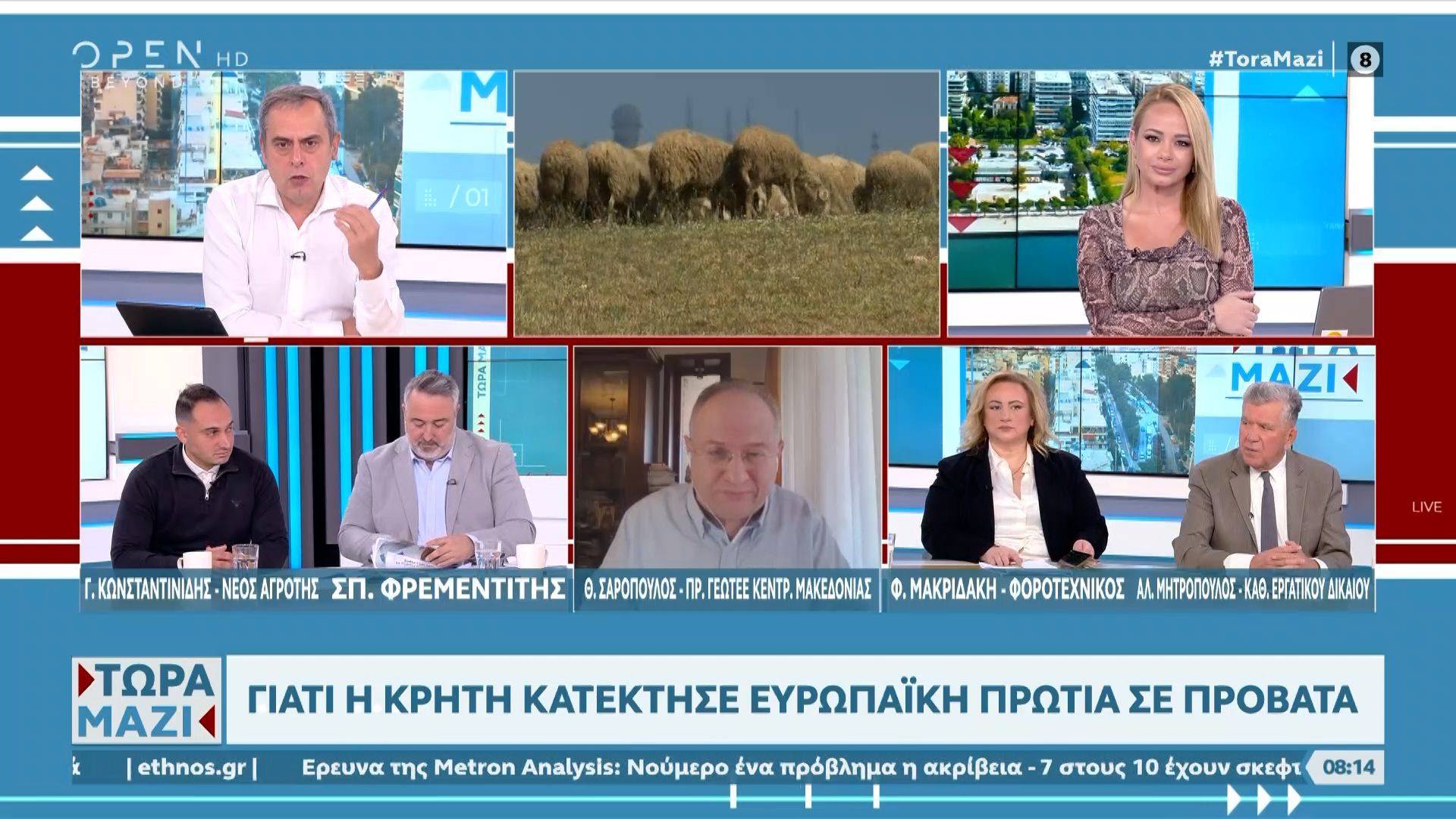 giati-i-kriti-katektise-eyropaiki-protia-se-provata-1763193813