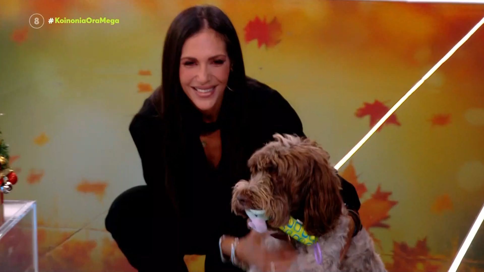 i-farlie-eisvallei-sto-plato-toy-koinonia-ora-mega-1762326512