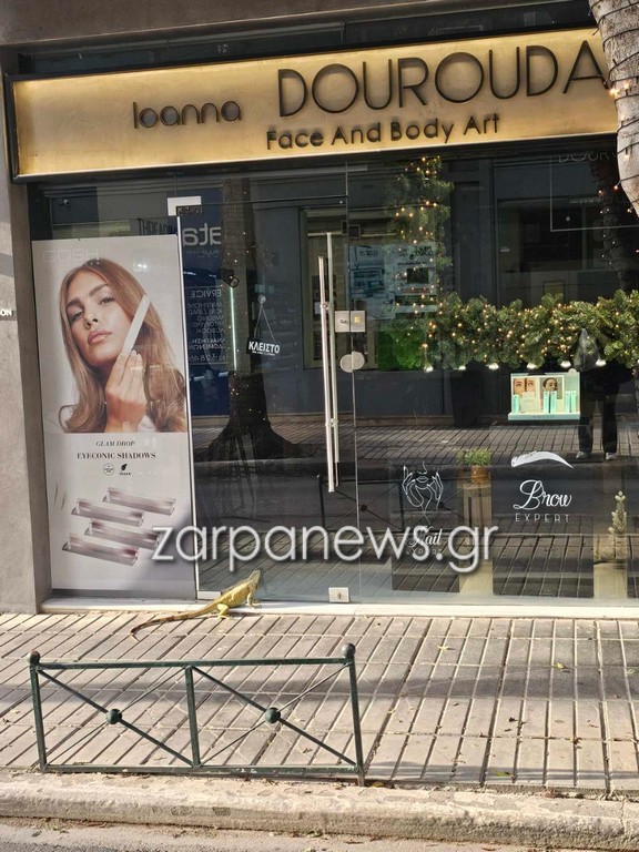 Ένα ιγκουάνα κόβει βόλτες στο κέντρο της πόλης των Χανίων