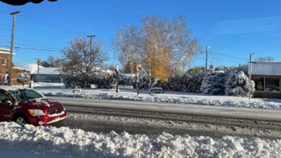 ΗΠΑ: Ακραίο ψύχος φέρνει ρεκόρ χαμηλών θερμοκρασιών – Προειδοποιήσεις στη Φλόριντα για ιγκουάνα που «παγώνουν» και πέφτουν από τα δέντρα