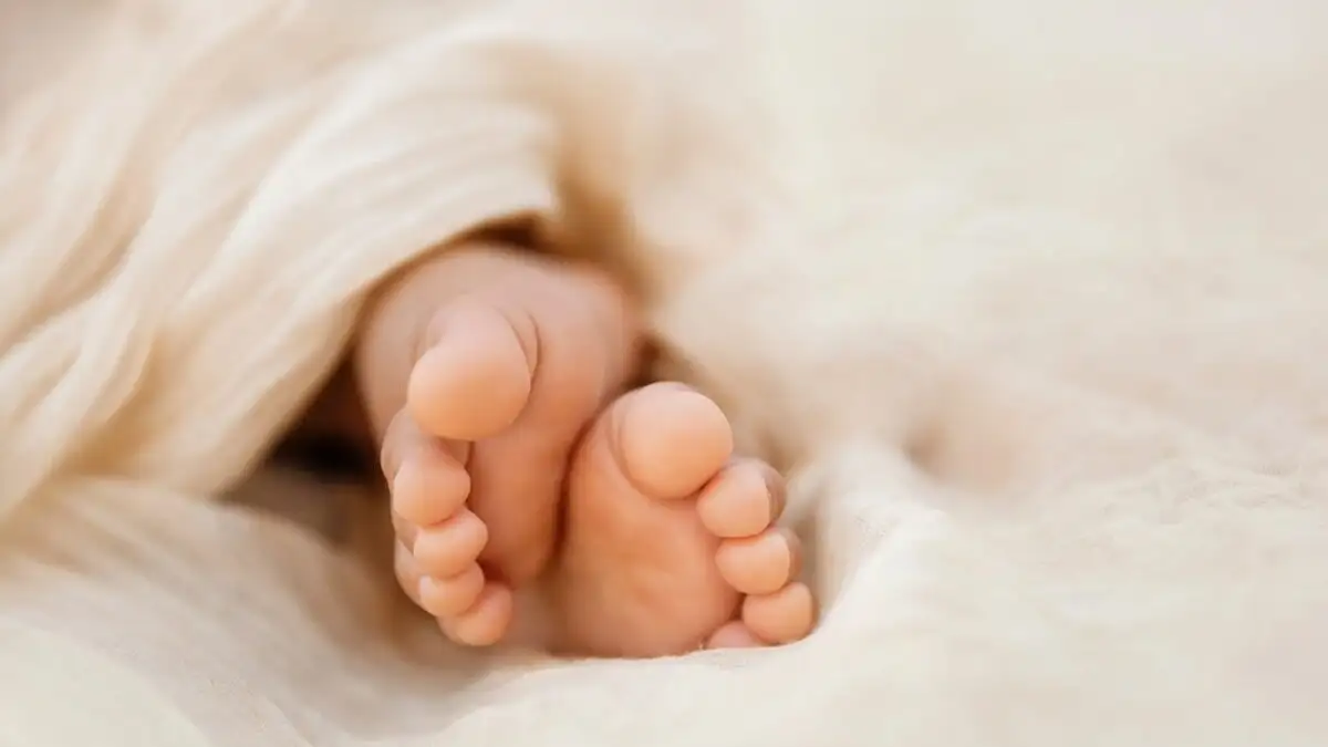 istock-moro-1200x675-1