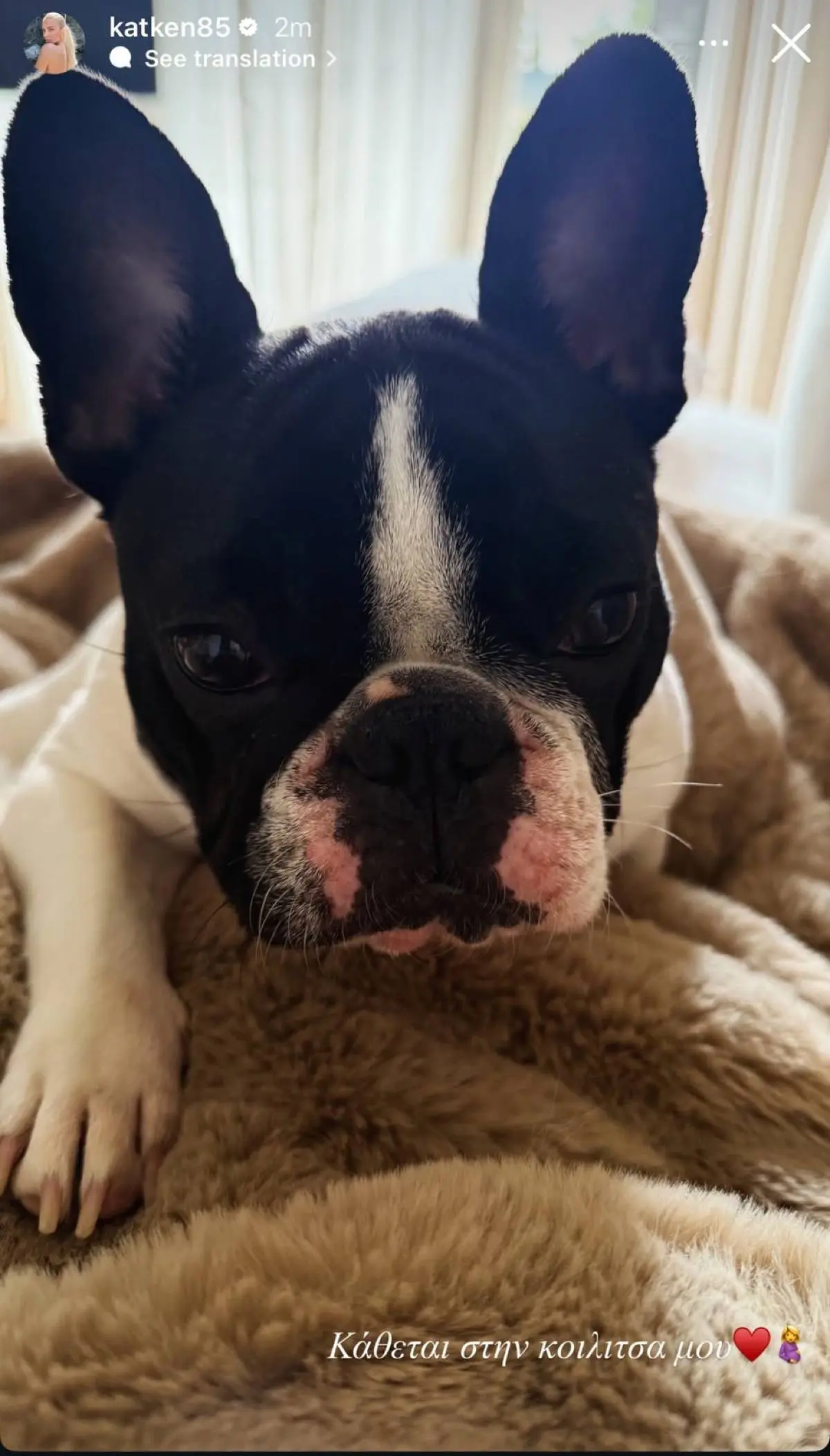 Κατερίνα Καινούργιου: «Ξαπλώνει στην αγκαλιά μου» – Η συγκινητική δημοσίευσή της 2 Η ανάρτηση της Κατερίνας Καινούργιου