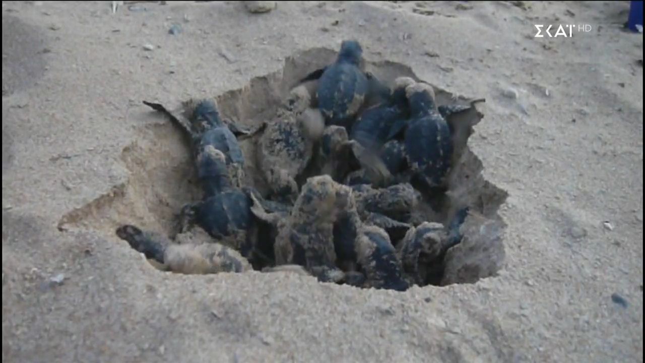 kala-nea-09112025-1762715312