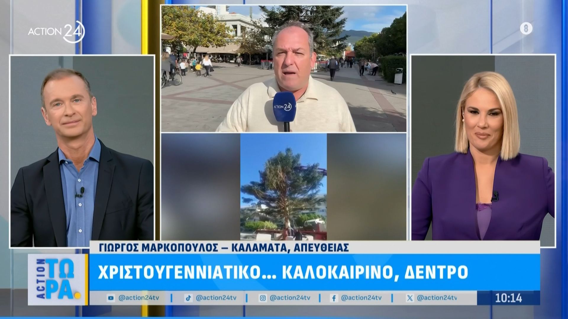 kalamata-stolismos-christoygenniatikoy-kalokairinoy-dentroy-1763368591