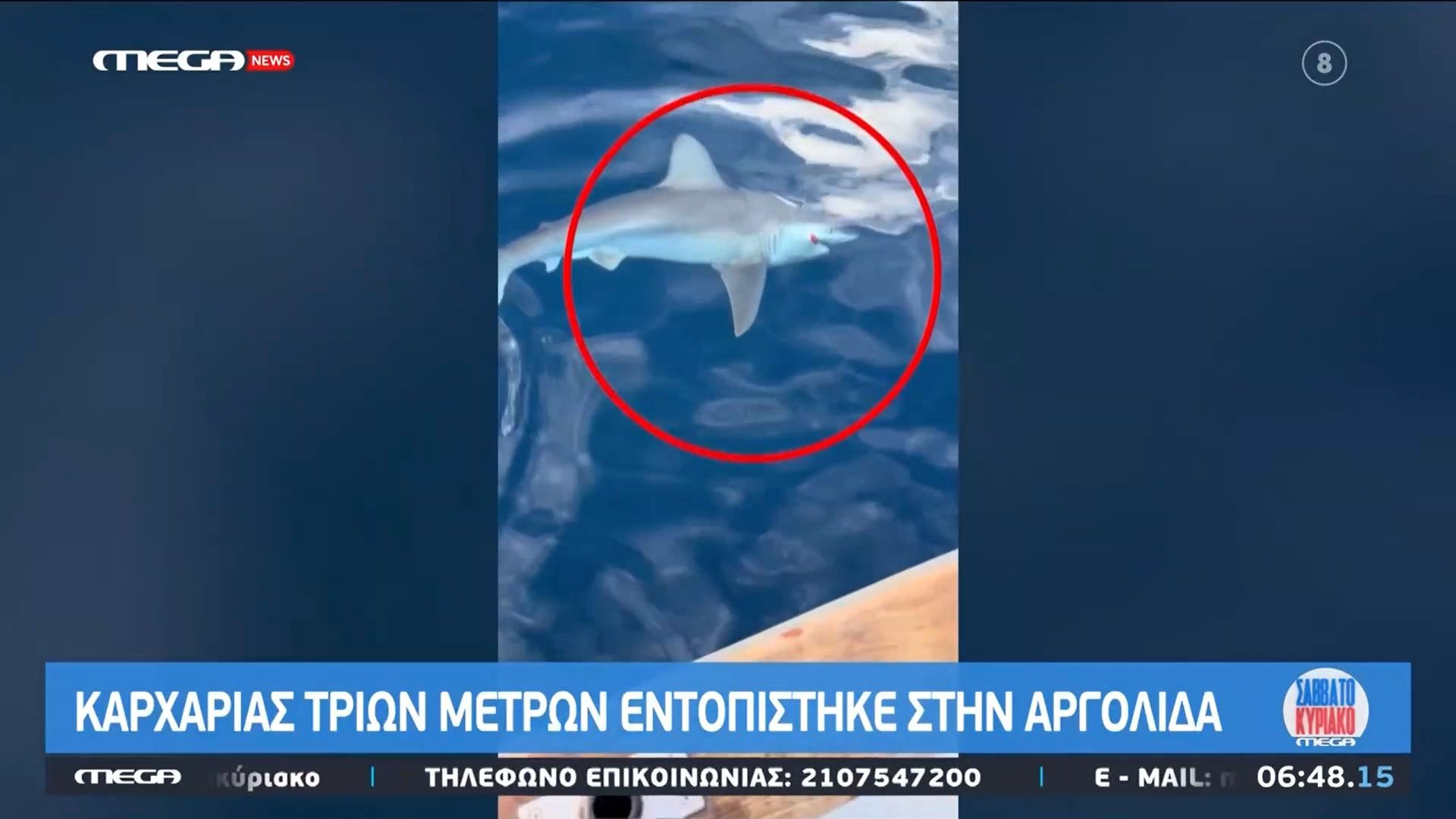 karcharias-trion-metron-entopistike-stin-argolida-1763202218