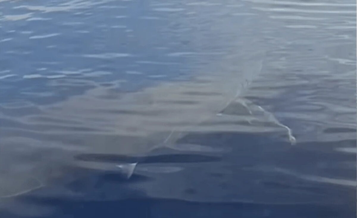 karxarias-karpathos-1200x734