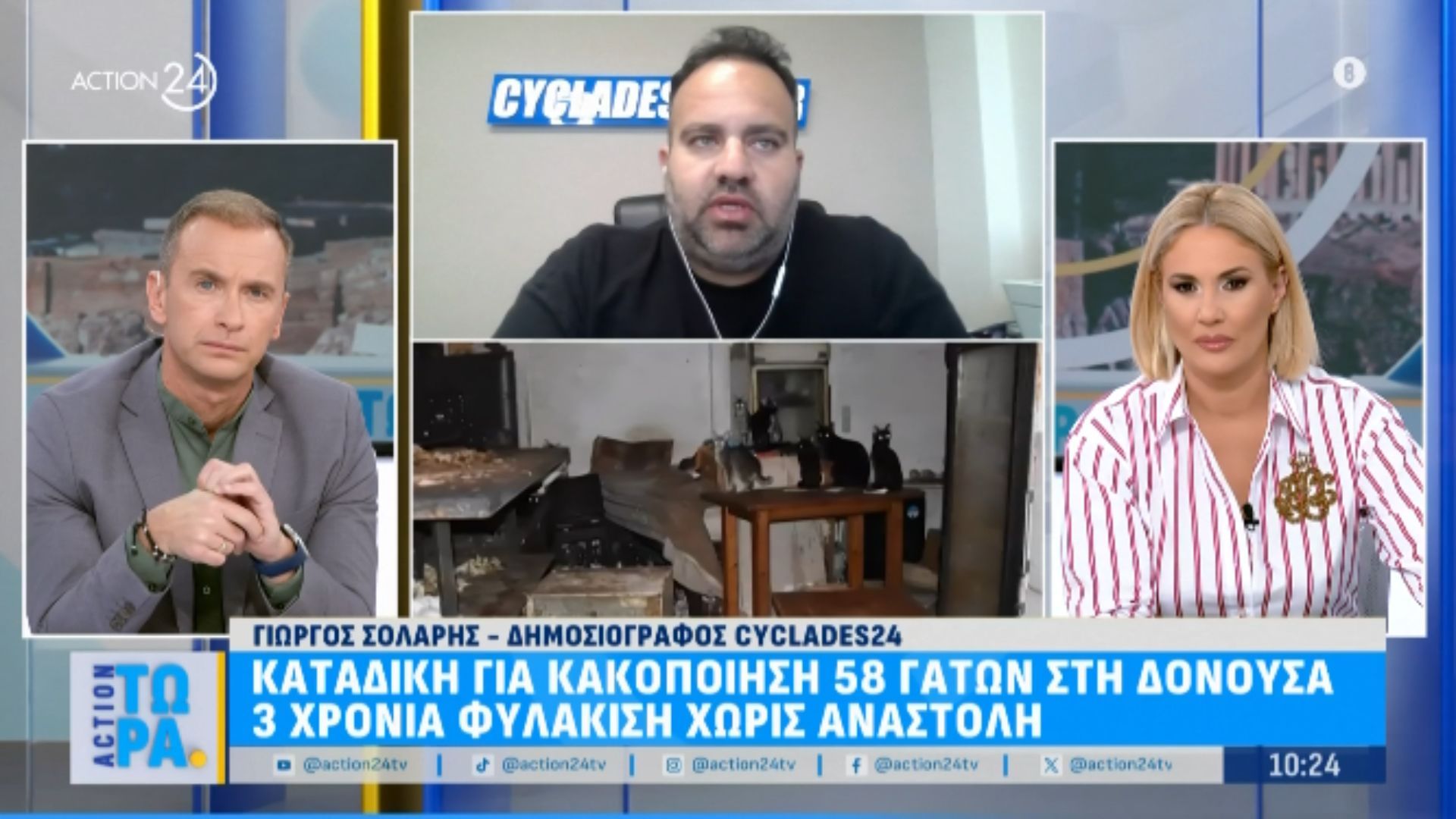 Καταδίκη του άντρα που κακοποιούσε 58 γάτες στη Δονούσα: 3 χρόνια φυλάκιση χωρίς αναστολή
