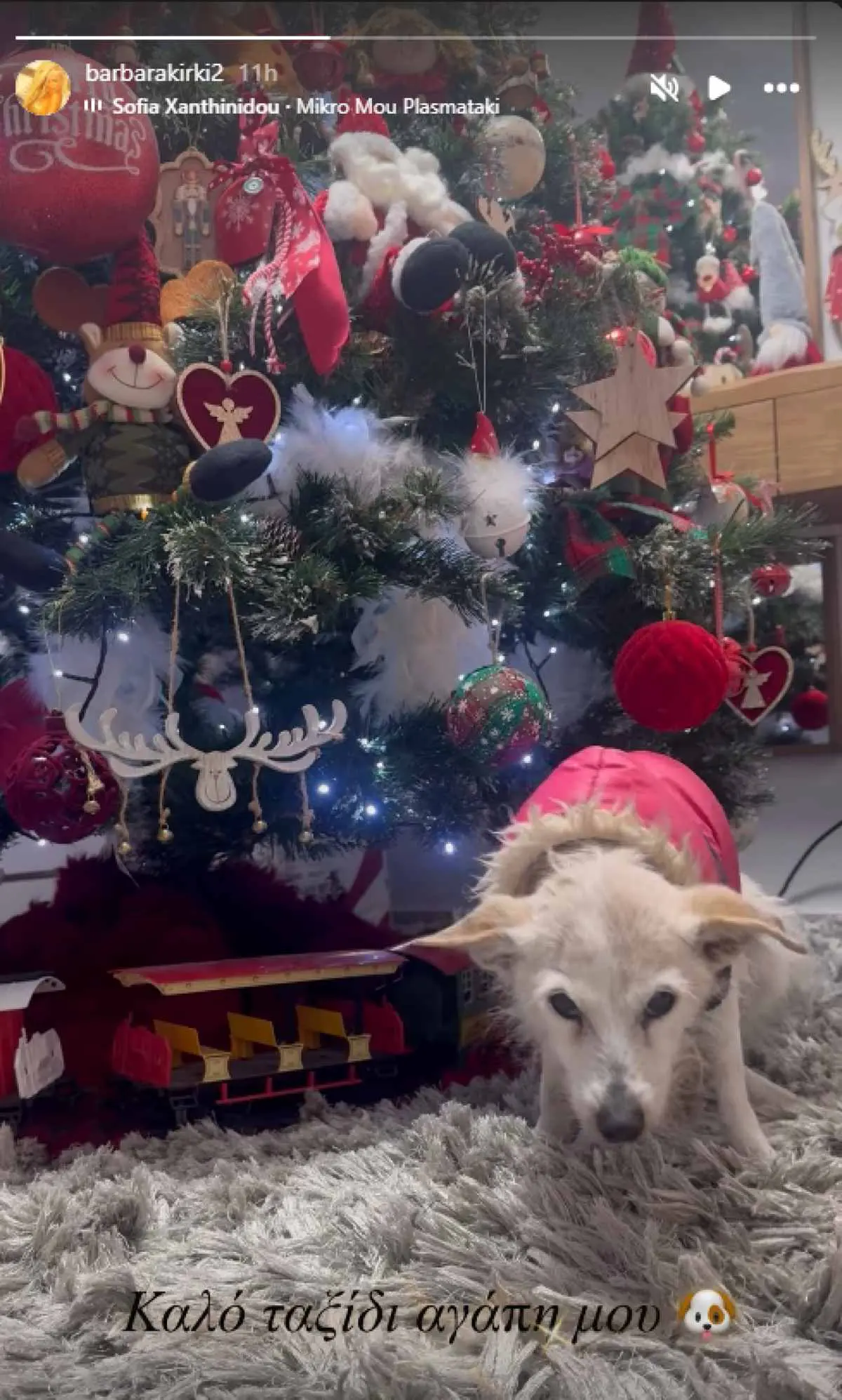 Δύσκολες ώρες για τη Βαρβάρα Κίρκη: «Καλό ταξίδι, αγαπημένη μου» 2 Η ανάρτηση της Βαρβάρας Κίρκη για τον θάνατο του σκύλου της