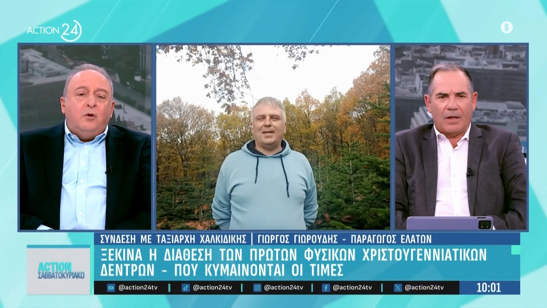 ksekina-i-diathesi-ton-proton-fysikon-christoygenniatikon-dentron-poy-kymainontai-oi-times-1762682115