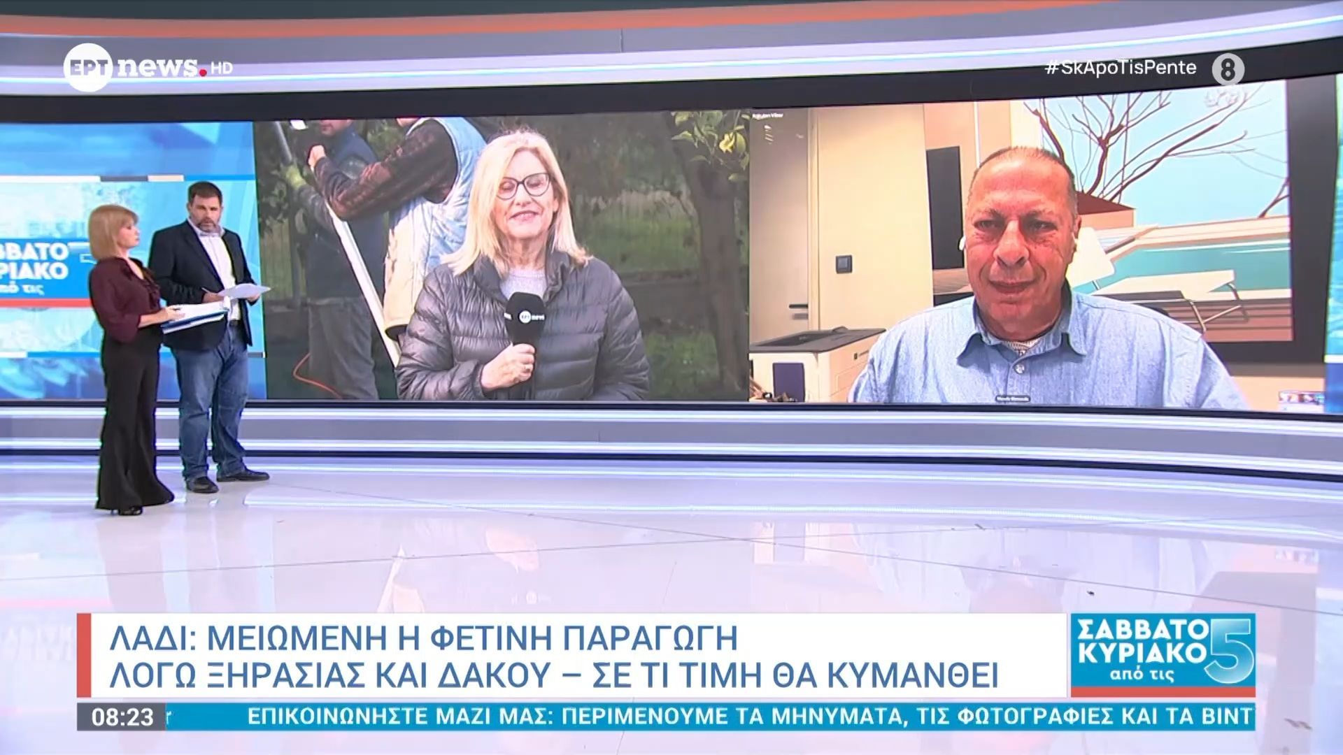 Λάδι: Μειωμένη η φετινή παραγωγή λόγω ξηρασίας και δάκου – Σε τι τιμή θα κυμανθεί;