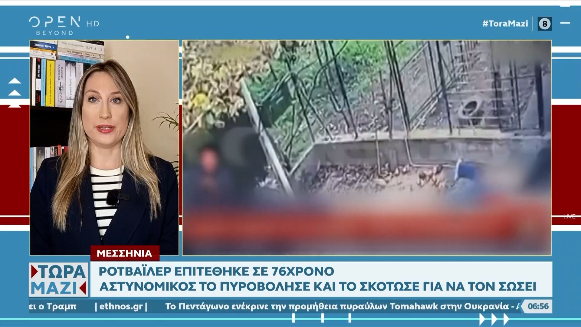 messinia-rotvailer-epitethike-se-76chrono-astynomikos-to-pyrovolise-1761975870