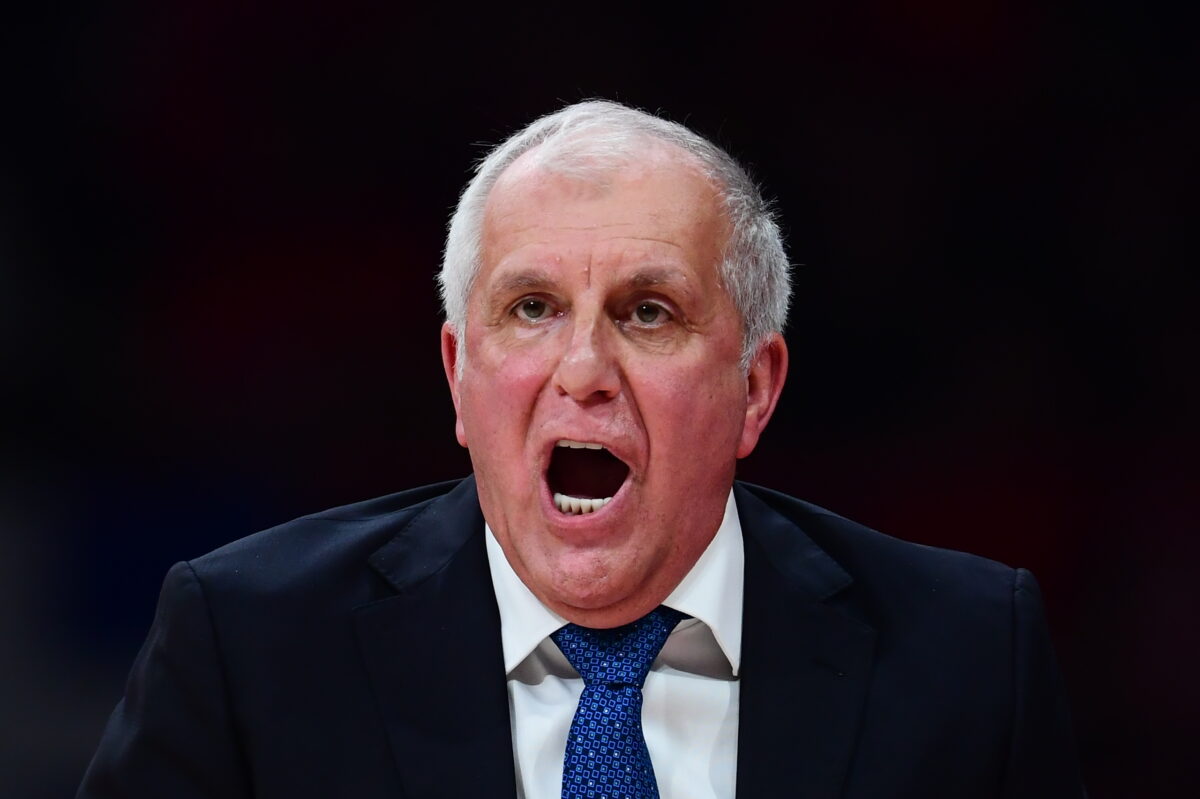 obradovic-4-1200x799