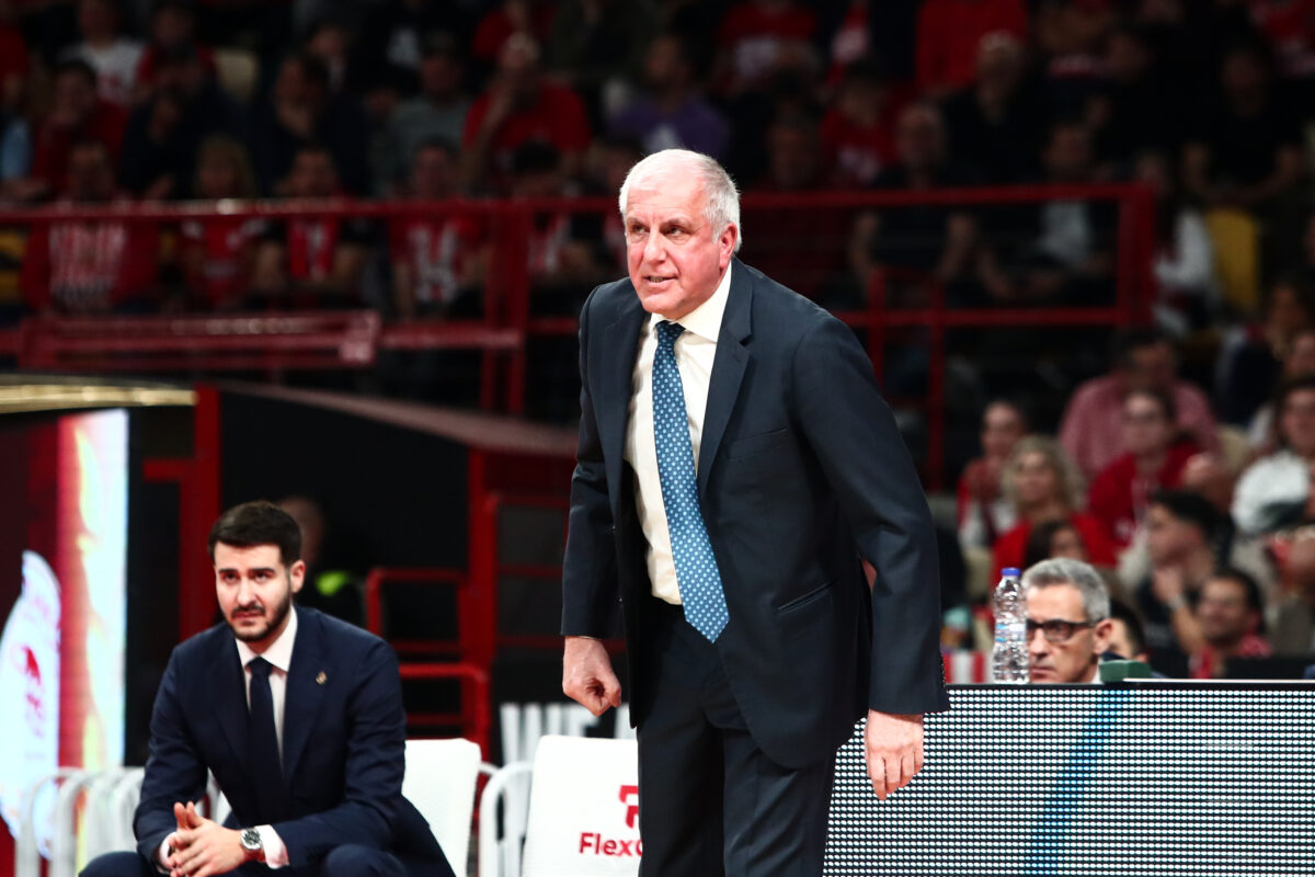 obradovic-6-1200x800