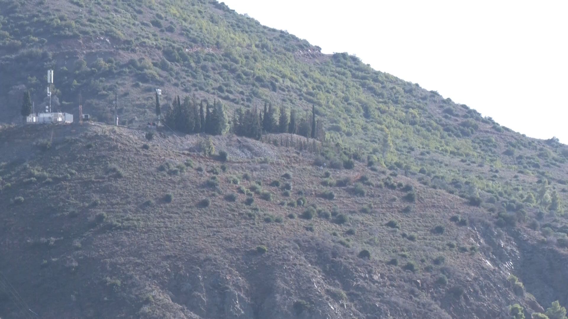 oi-retsinades-diorganonoyn-dentrofyteysi-sti-limni-tis-voreias-eyvoias-1763713836