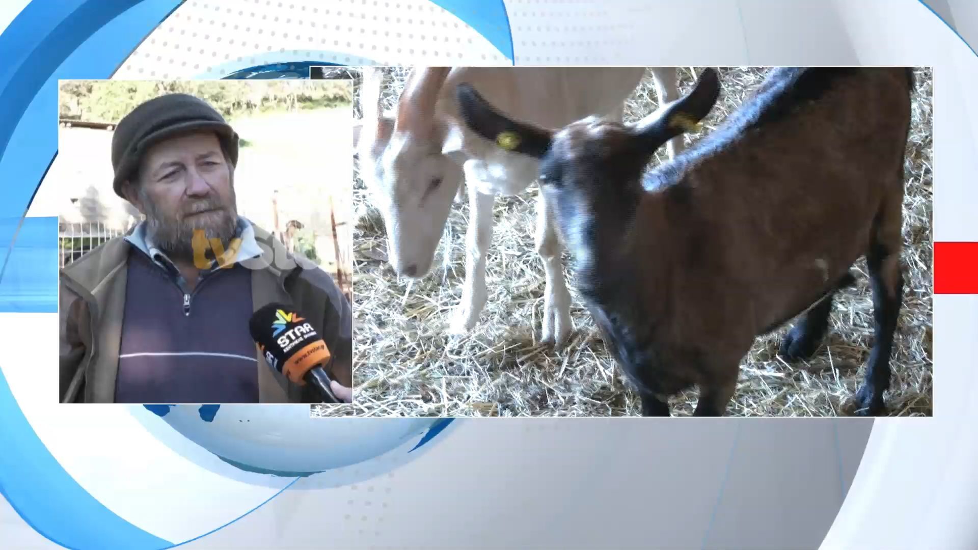 Οργή στους κτηνοτρόφους για τα ποσά ψίχουλα που έλαβαν από αποζημιώσεις για την ευλογιά