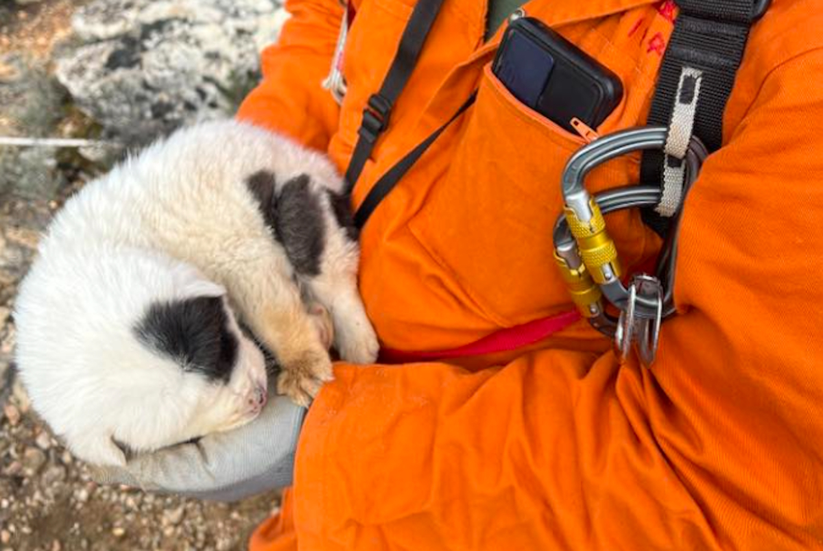 pilio-koutavia-30112025