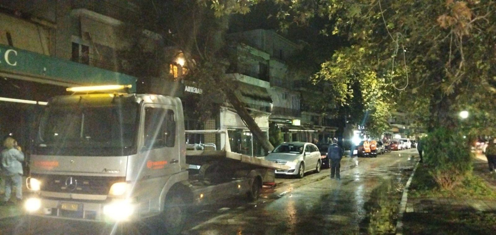 Πεσμένο δέντρο σε μαγαζί