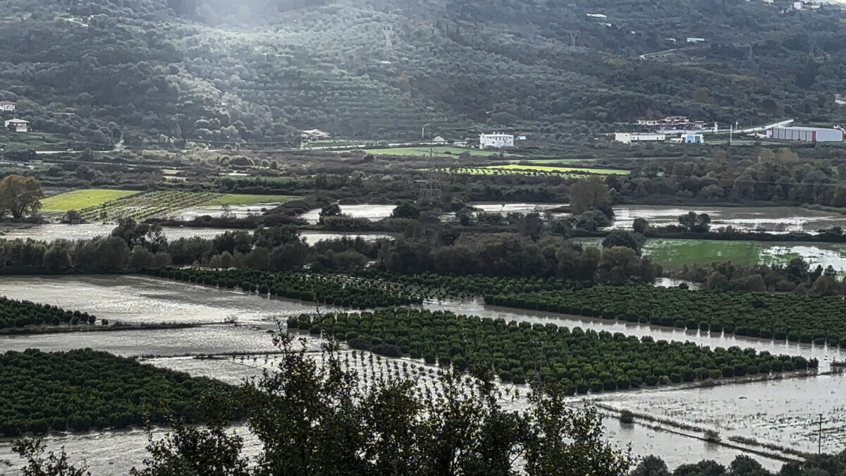 plimmiyres-eurok-1200x675