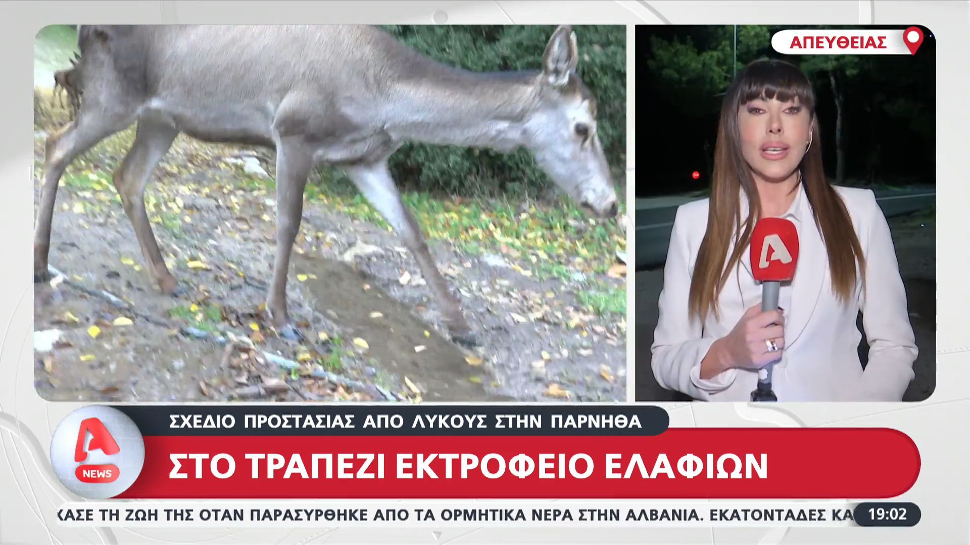 schedio-prostasias-apo-lykoys-stin-parnitha-sto-trapezi-ektrofeio-elafion-1763919811