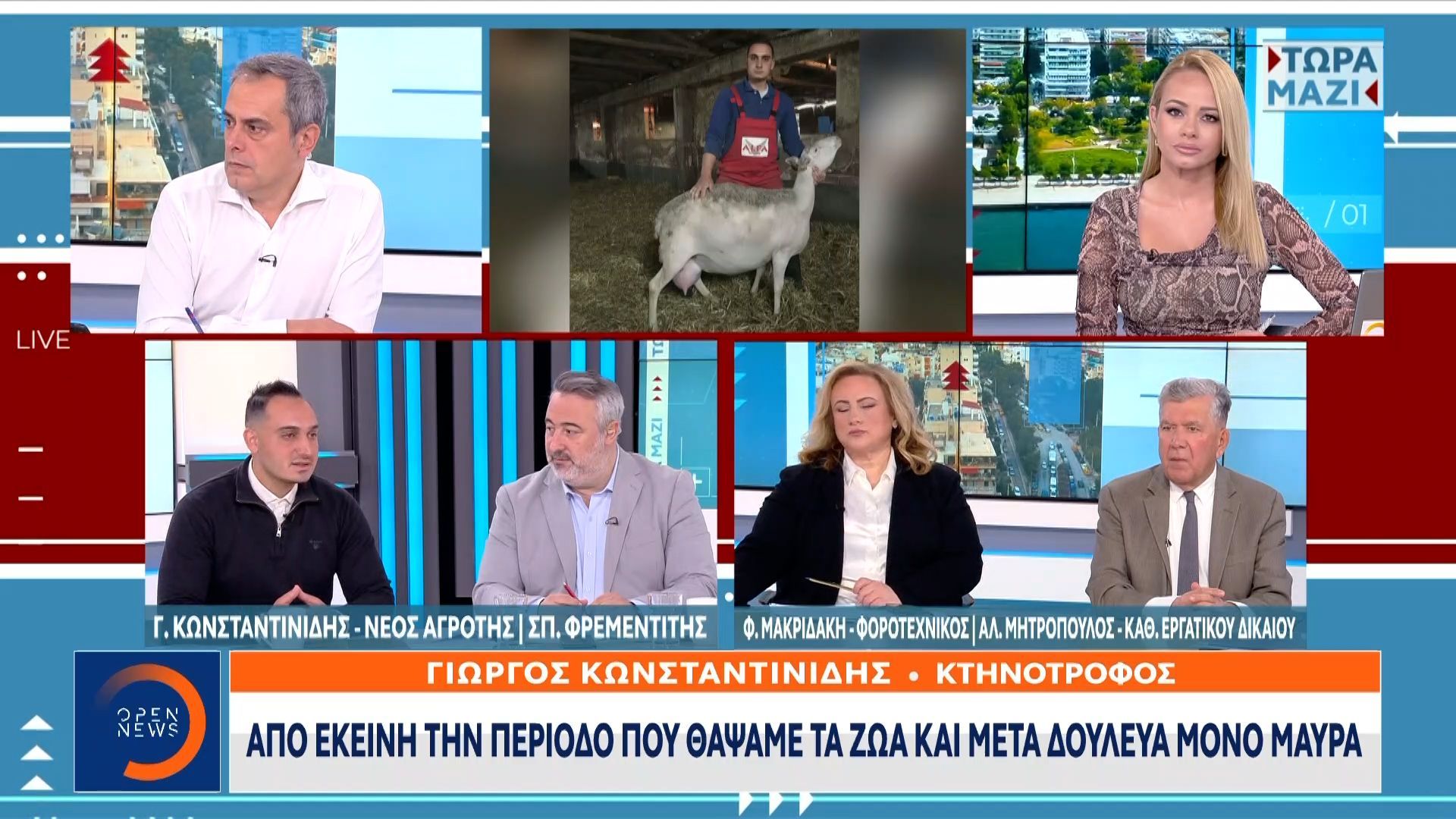 se-apognosi-oi-ktinotrofoi-meta-to-chtypima-tis-eylogias-1763206478