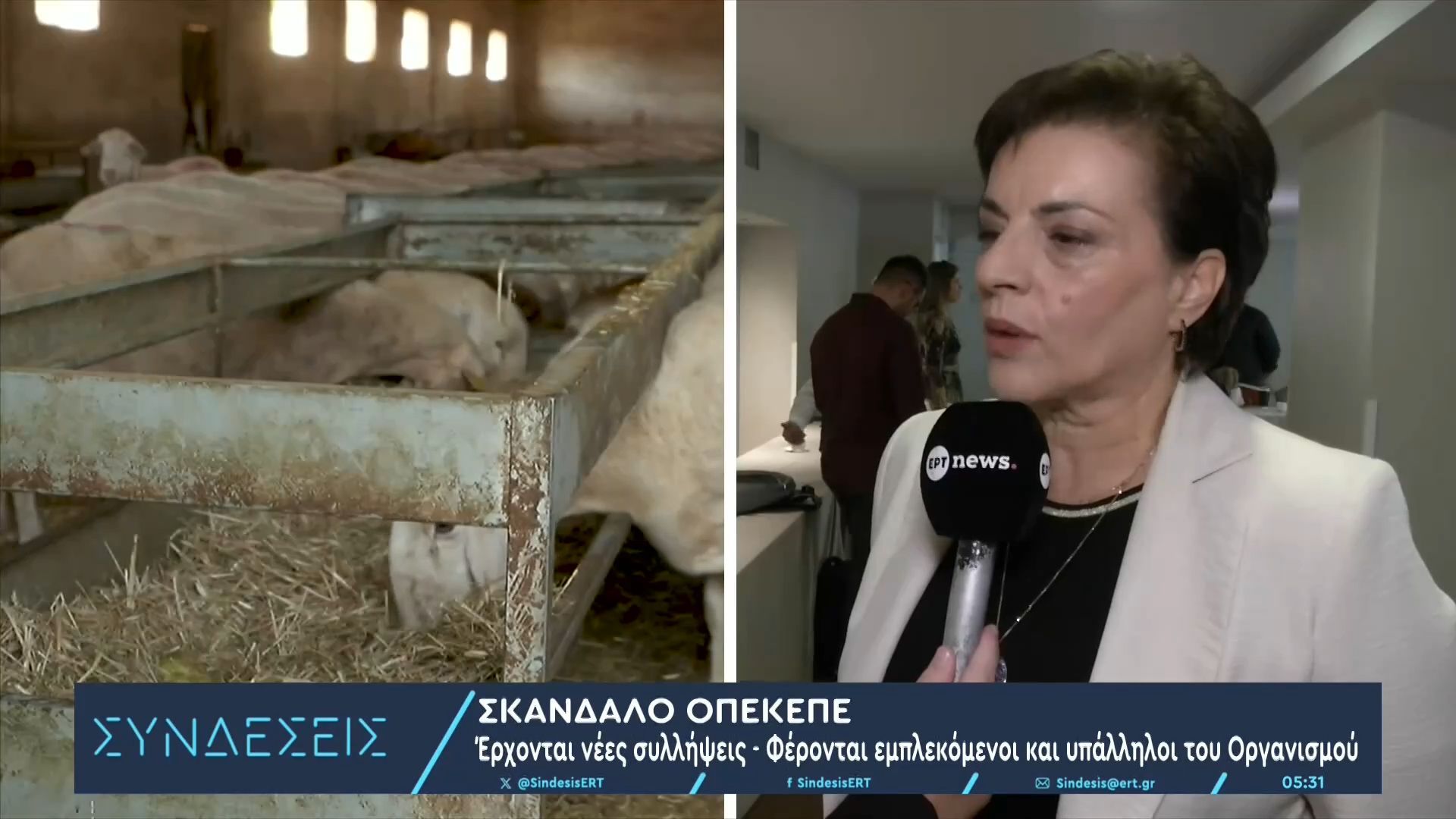 skandalo-opekepe-erchontai-nees-syllipseis-ferontai-emplekomenoi-kai-ypalliloi-toy-organismoy-1762147415