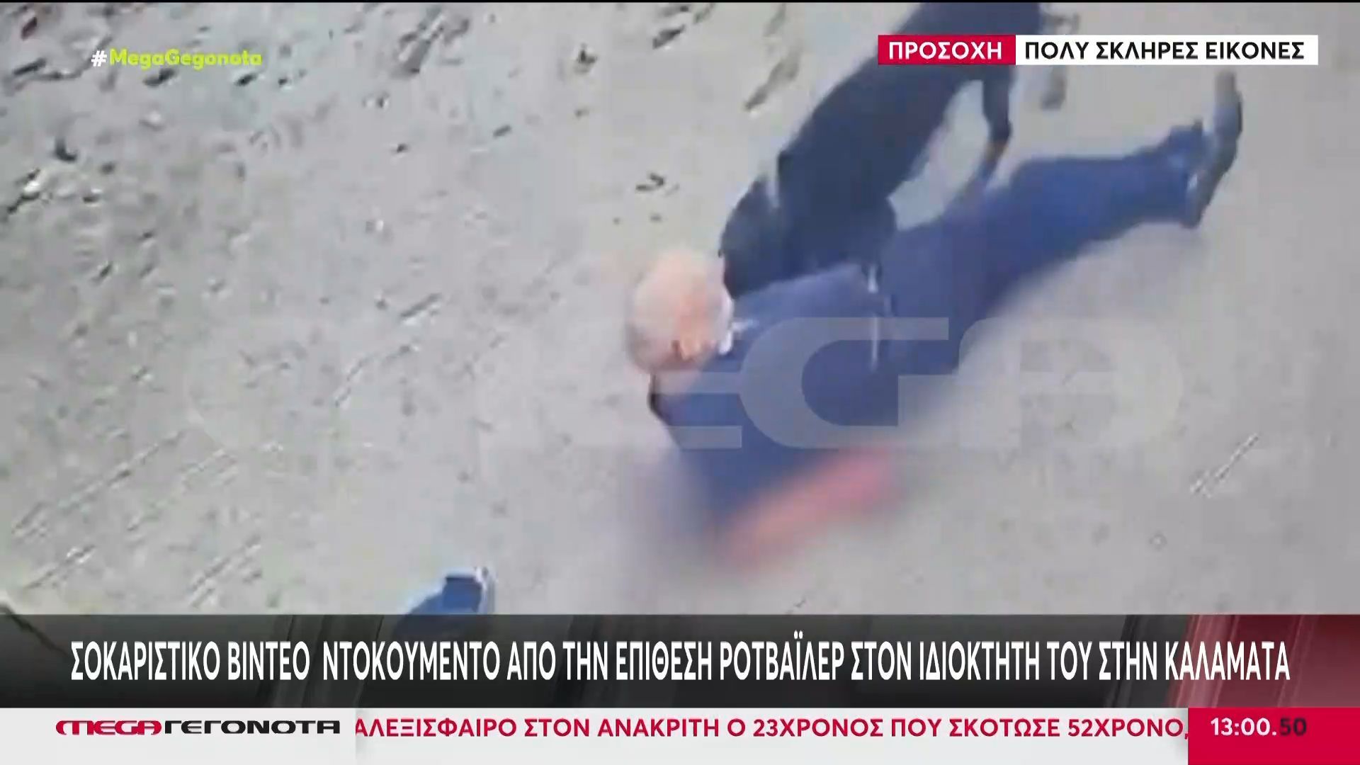 sklires-eikones-sokaristiko-vinteo-ntokoymento-apo-tin-epithesi-rotvailer-ston-idioktiti-toy-1761996457