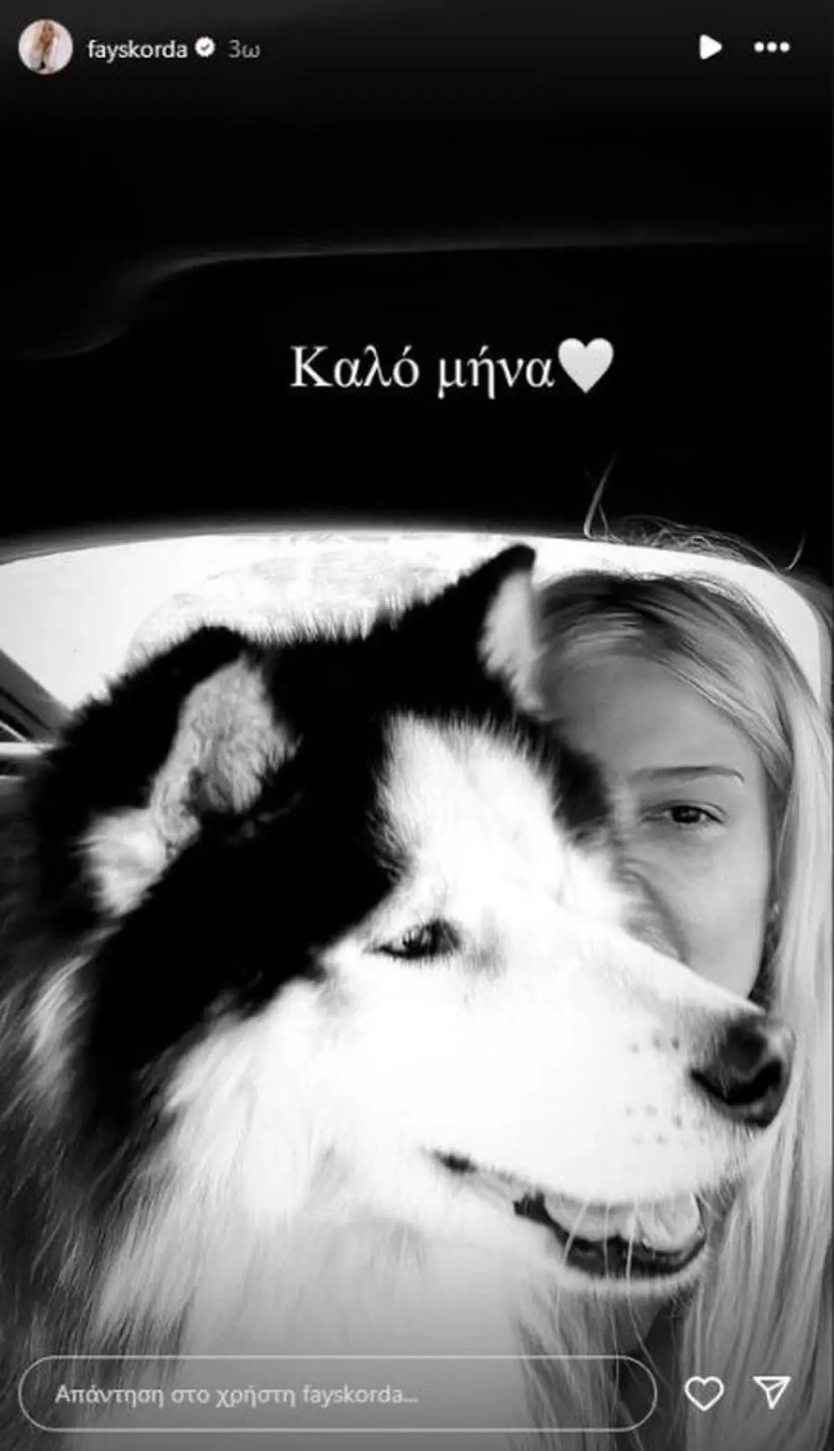 Φαίη Σκορδά: Έφυγε από τη ζωή ο σκύλος που της κληροδότησε ο πατέρας της – Αποκλειστικό 3 σκορδά χάσκι