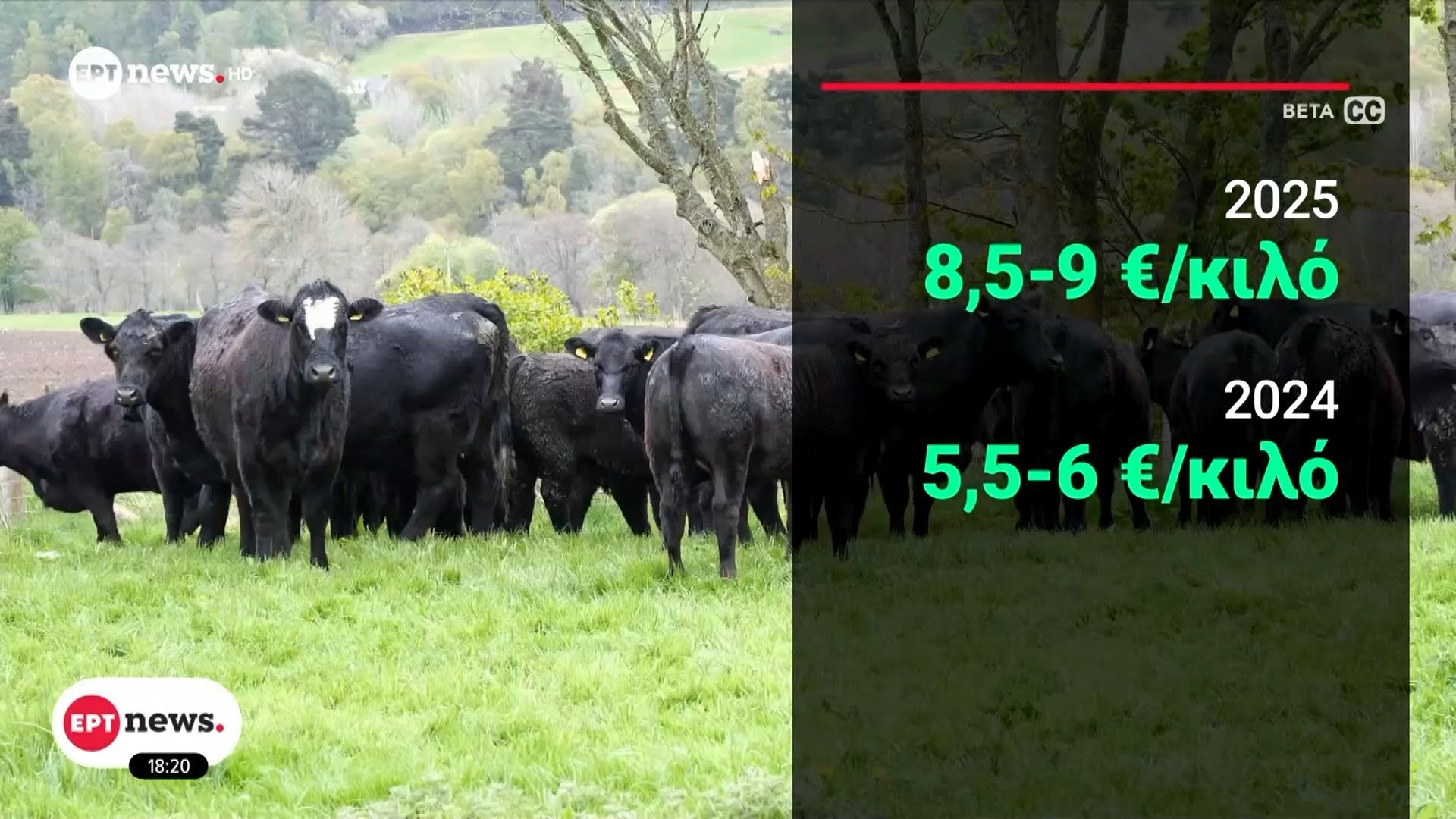 sta-ypsi-oi-times-kreatos-aities-i-meiomeni-paragogi-toy-moscharisioy-kai-i-eylogia-1762880076