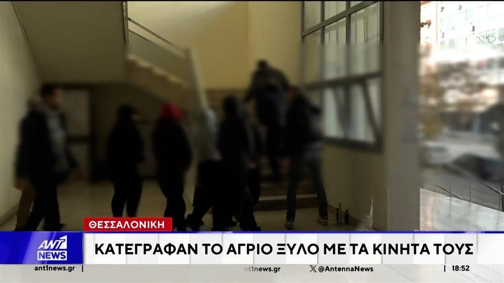 stamatimo-den-echoyn-ta-peristatika-via-metaksy-anilikon-1763314832