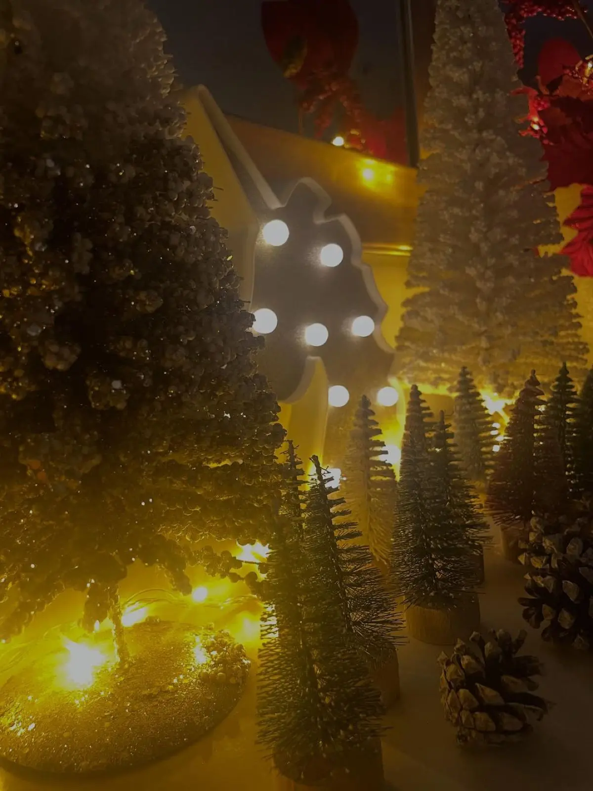 Ρούλα Κορομηλά: Χριστουγεννιάτικη διακόσμηση – Παραμυθένια η μονοκατοικία της στην Κηφισιά 14 Το στολισμένο σπίτι της Ρούλας Κορομηλά