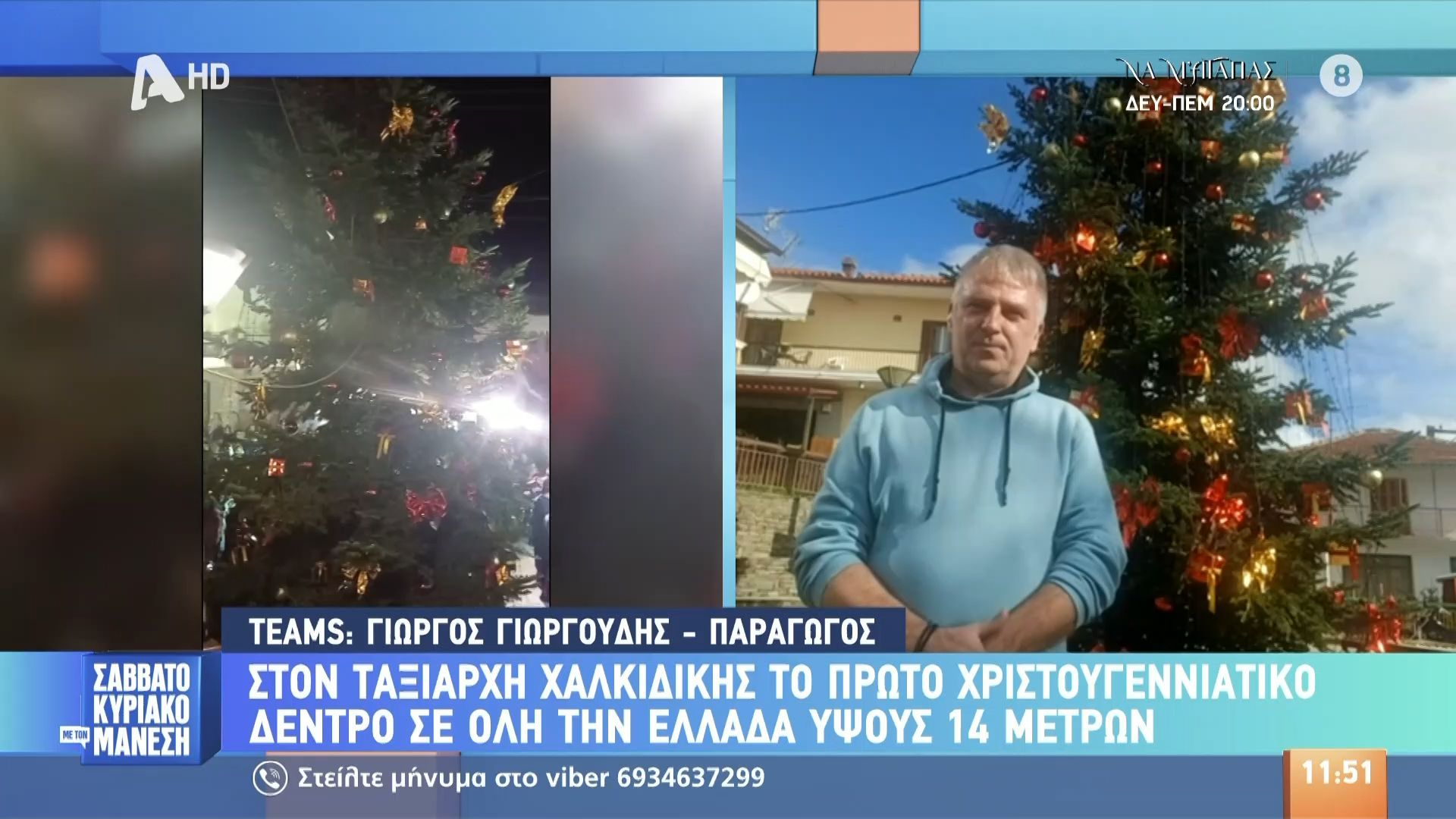 ston-taksiarchi-chalkidikis-to-proto-christoygenniatiko-dentro-se-oli-tin-ellada-ypsoys-14-metron-1762685327