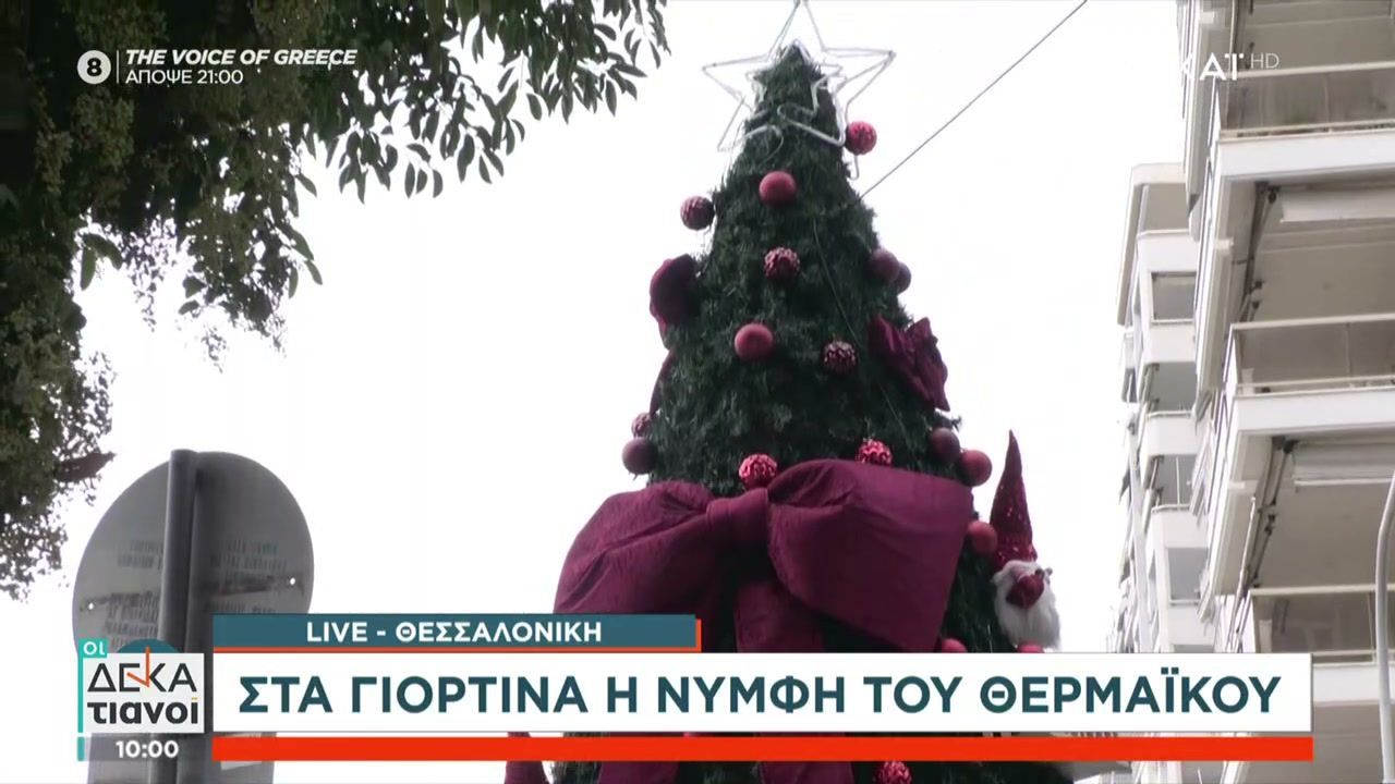 thessaloniki-antistrofi-metrisi-gia-to-anama-toy-christoygenniatikoy-dendroy-1762598793