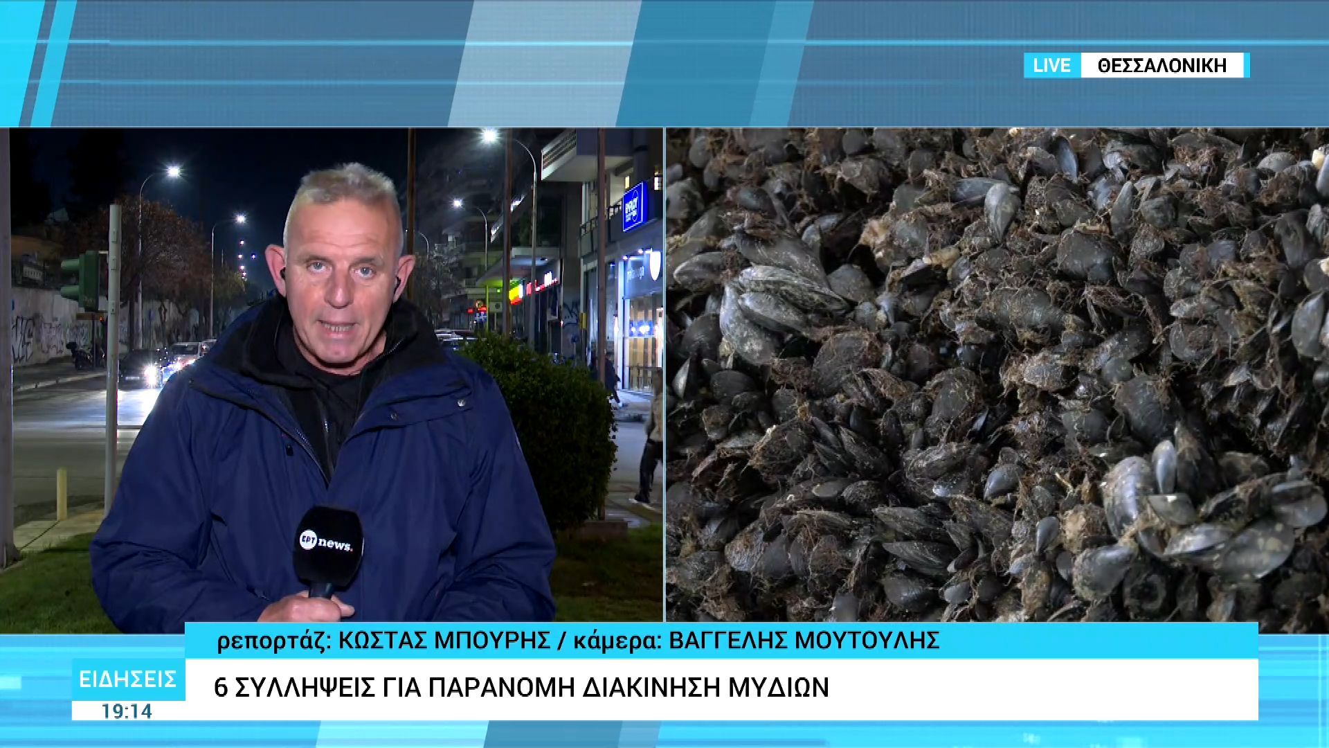 thessaloniki-kataschethike-enas-tonos-mydia-apo-paranomo-mydotrofeio-eksi-epitideioi-tha-ta-diocheteyan-stin-agora-1763492256