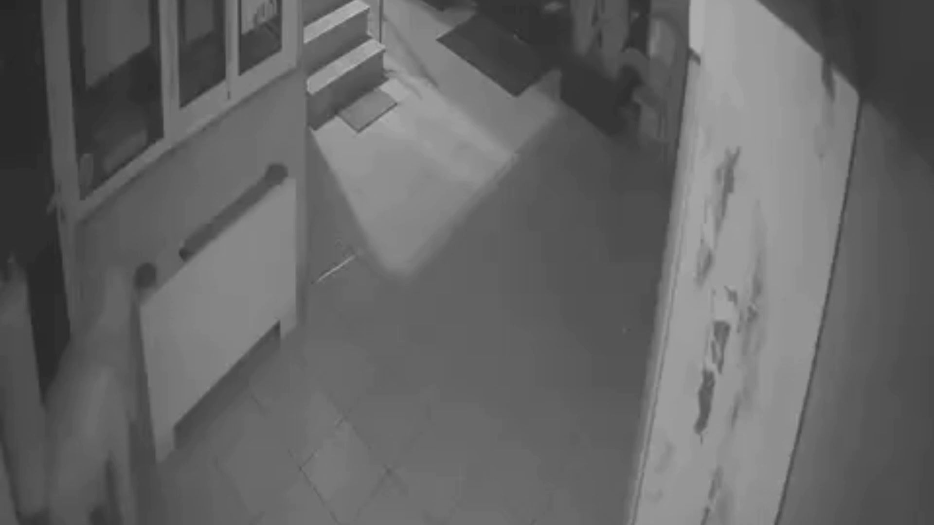 Θεσσαλονίκη: Νέο βίντεο ντοκουμέντο  με τους Ρομά  που άδειαζαν σπίτια και εταιρείες