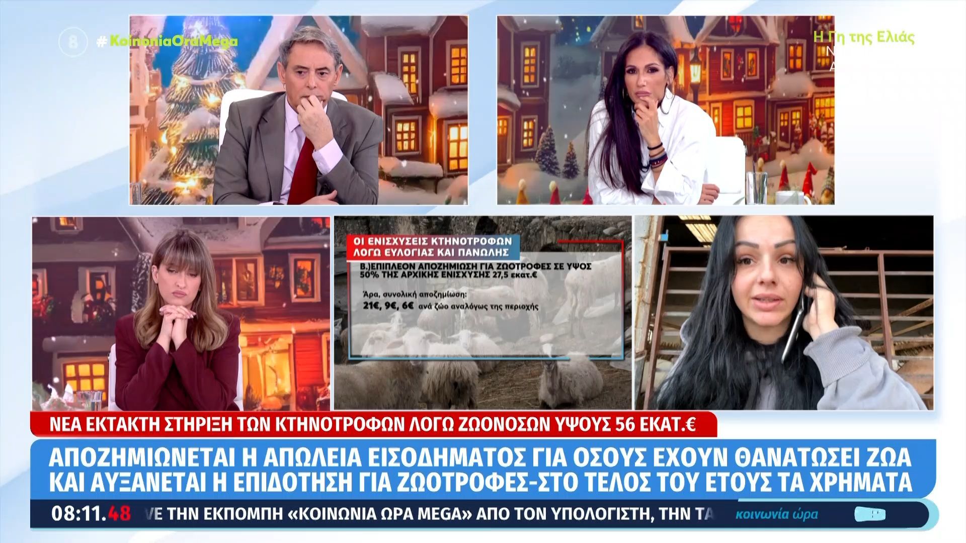 v-fasoyla-ktinotrofos-gia-an-agoraso-ena-kriari-thelo-1-500-eyro-kai-i-kyvernisi-moy-dinei-35-eyro-1764227075