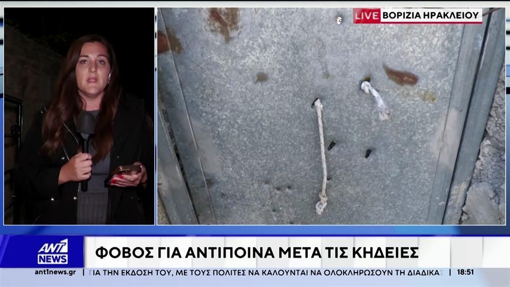 vorizia-irakleioy-fovos-gia-antipoina-meta-tis-kideies-1762277703