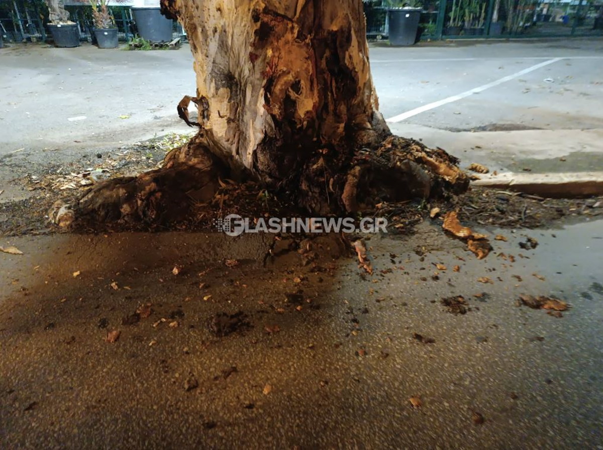 Χανιά: Ανατροπή αυτοκινήτου σε τροχαίο στη Λεωφόρο Σούδας – Ένας τραυματίας 5 Χανιά