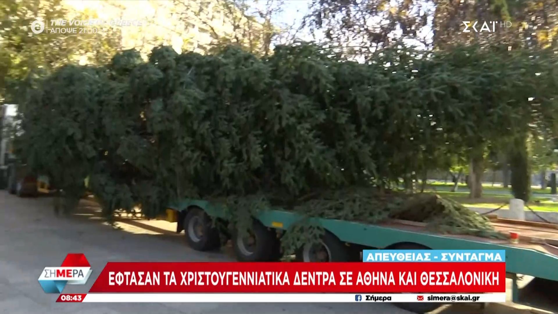 Έφτασαν-τα-Χριστουγεννιάτικα-δέντρα-σε-Αθήνα-και-Θεσσαλονίκη